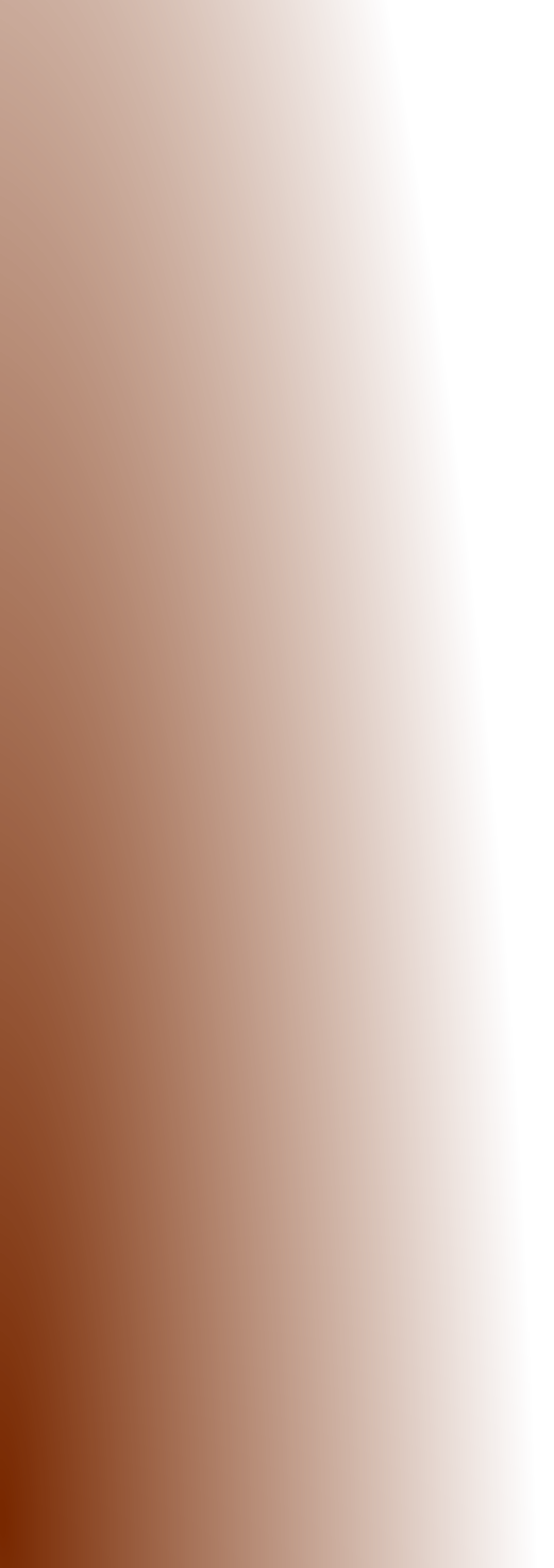 wp26c19227.png